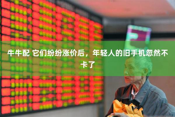 牛牛配 它们纷纷涨价后，年轻人的旧手机忽然不卡了